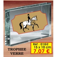 Trophée VERRE : Réf. 01G2 15 x 10 cm