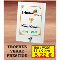 TROPHEE VERRE PRESTIGE : REF. W201 - 11 x 9 CM