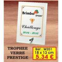TROPHEE VERRE PRESTIGE : REF. W201 - 18 x 13 CM