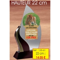 Trophée VERRE ET BOIS PERSONALISÉ : 22 cm - 135-61.22