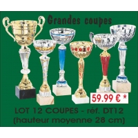Réf. DT12 - LOT DE 12 COUPES hauteur moyenne 28 cm