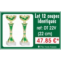 DT22V LOT DE 12 COUPES 22 cm IDENTIQUES