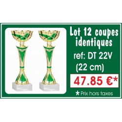 DT22V LOT DE 12 COUPES 22 cm IDENTIQUES
