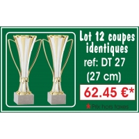 DT27 LOT DE 12 COUPES 27 cm IDENTIQUES