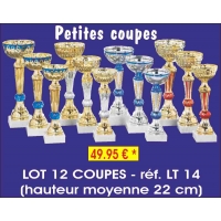 Réf. LT14 - LOT DE 12 COUPES hauteur moyenne 22cm