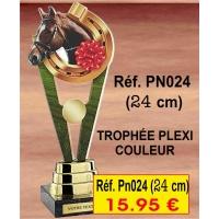 TROPHÉE PLEXI COULEUR 24 CM