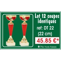 DT22 LOT DE 12 COUPES 22 cm IDENTIQUES