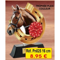 TROPHÉE PLEXI COULEUR 16 CM