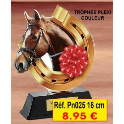 TROPHÉE PLEXI COULEUR 16 CM