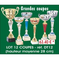 Réf. DT12 - LOT DE 12 COUPES hauteur moyenne 28 cm