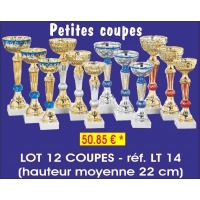 Réf. LT14 - LOT DE 12 COUPES hauteur moyenne 22cm