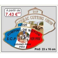 PLAQUE METAL RELIEF REF PM5