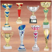 COUPES ET LOT DE COUPES