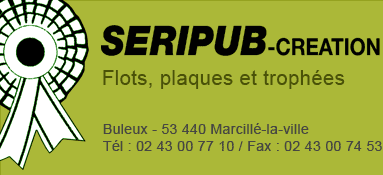 Seripub Création